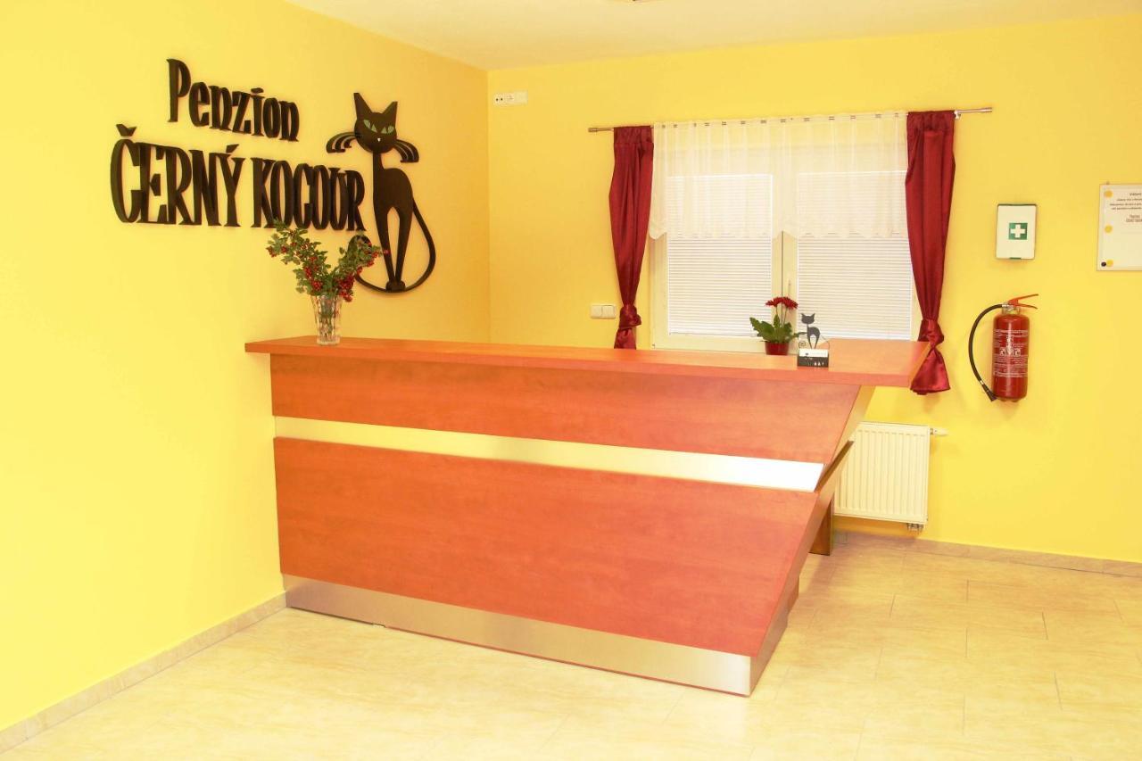 Cerny Kocour * Sarovy