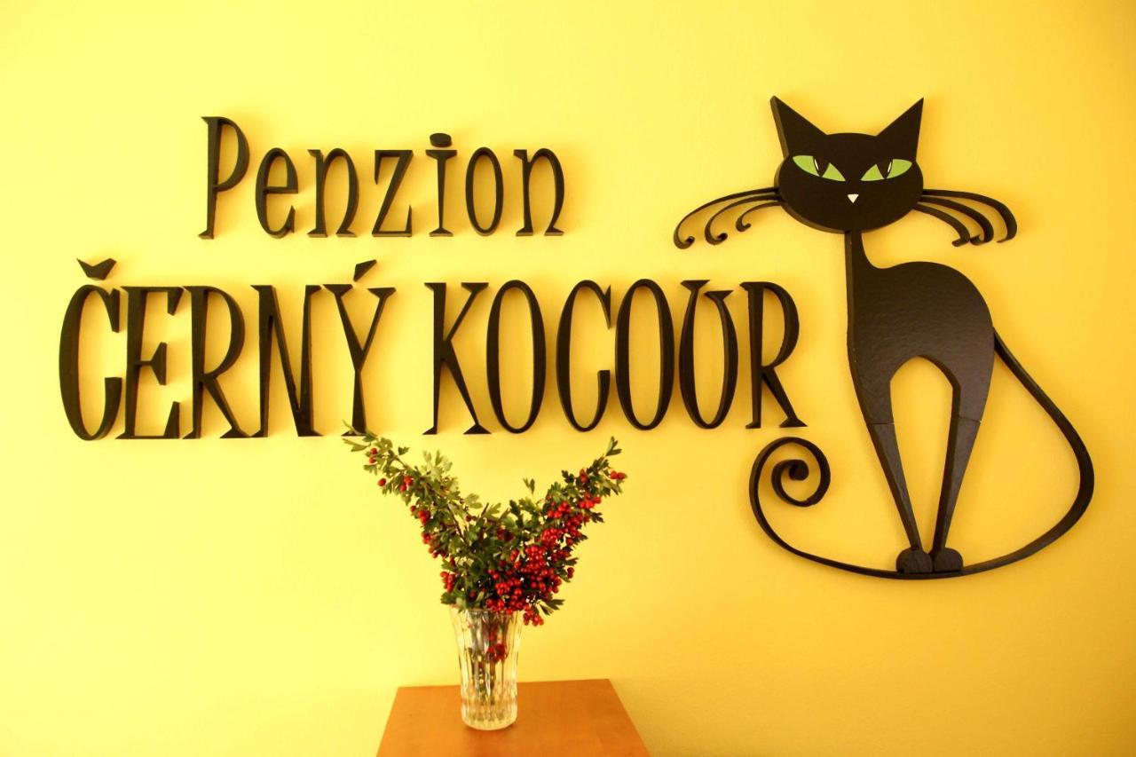 Cerny Kocour Apartment Sarovy